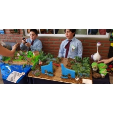 Expo Salud 2018